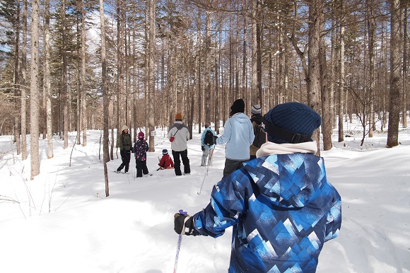 雪の積もった森の中を歩く様子