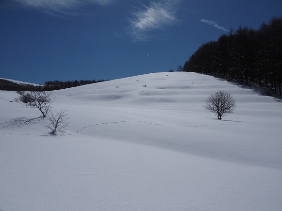 雪に覆われた丘