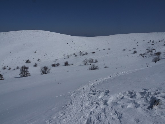 一面雪に覆われた霧ヶ峰