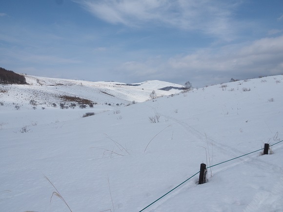 雪原に入り込むスキーの跡