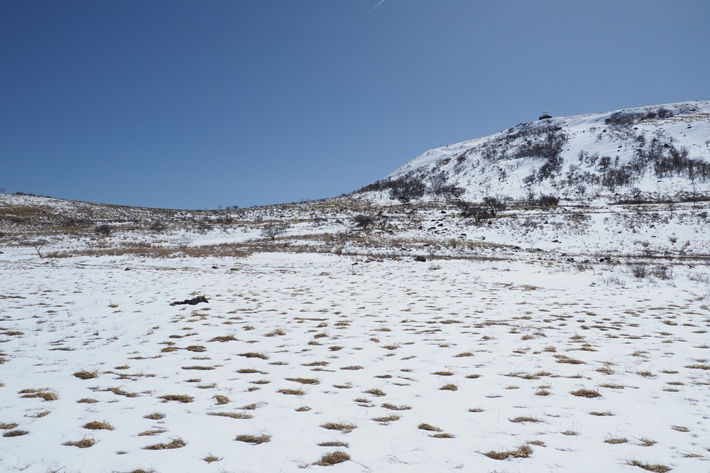 雪原の中まだらに草地が見えている