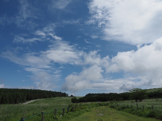 青空と草原