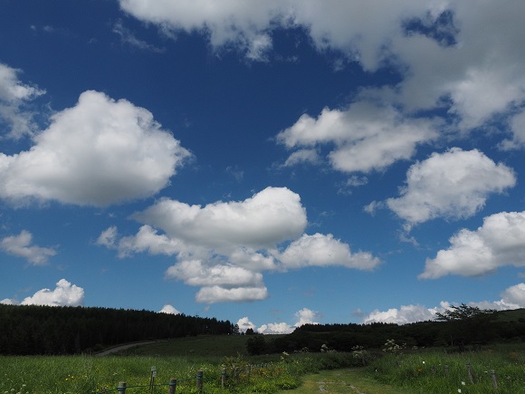 青空と雲