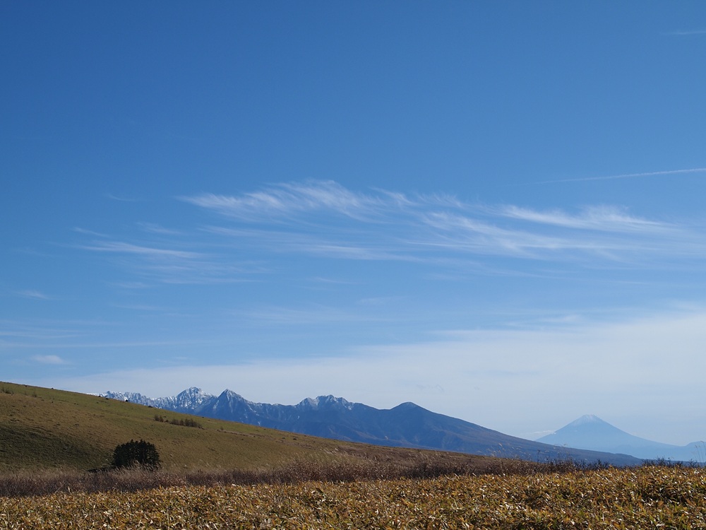 冠雪している八ヶ岳と富士山