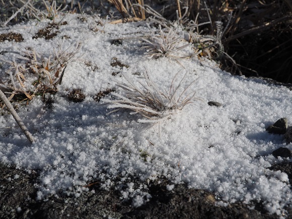 地面に積もった荒い粒の雪>