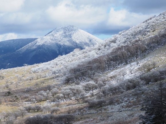 木々の霧氷と雪をかぶる山