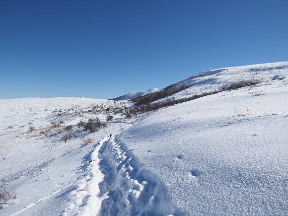 一面の雪