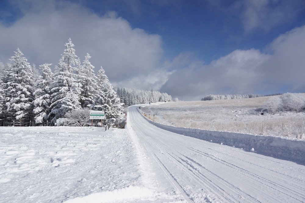 自然保護センター前の道路