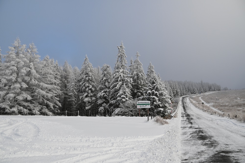 センター前の道路の様子