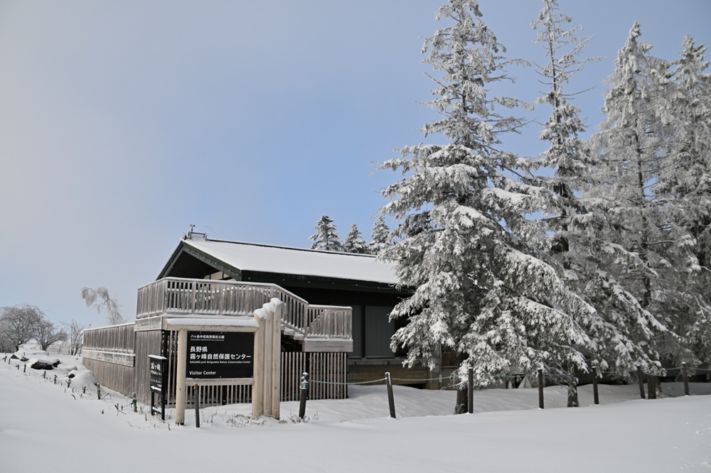 冬に逆戻りでしたの画像