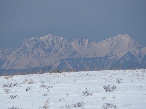 雪原の向こうの穂高岳