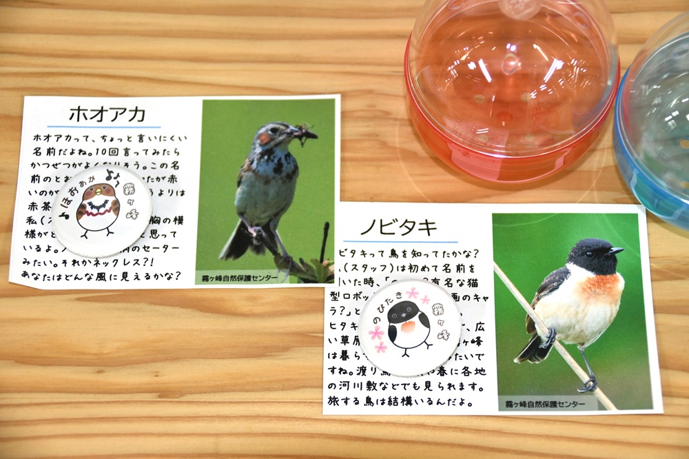 鳥の絵が描かれたバッチと写真と説明の入った紙