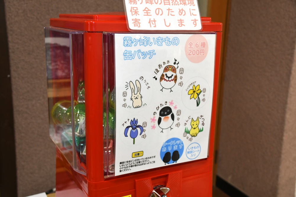 生きもののイラストが描かれた赤いマシン