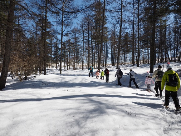 雪の積もった森の中を歩いている様子