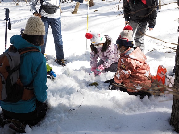 雪の表面を観察する子供たち