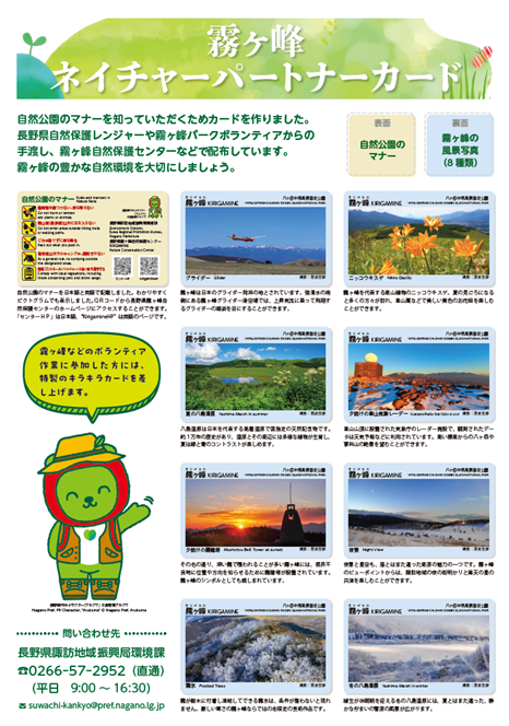 8種類のカード