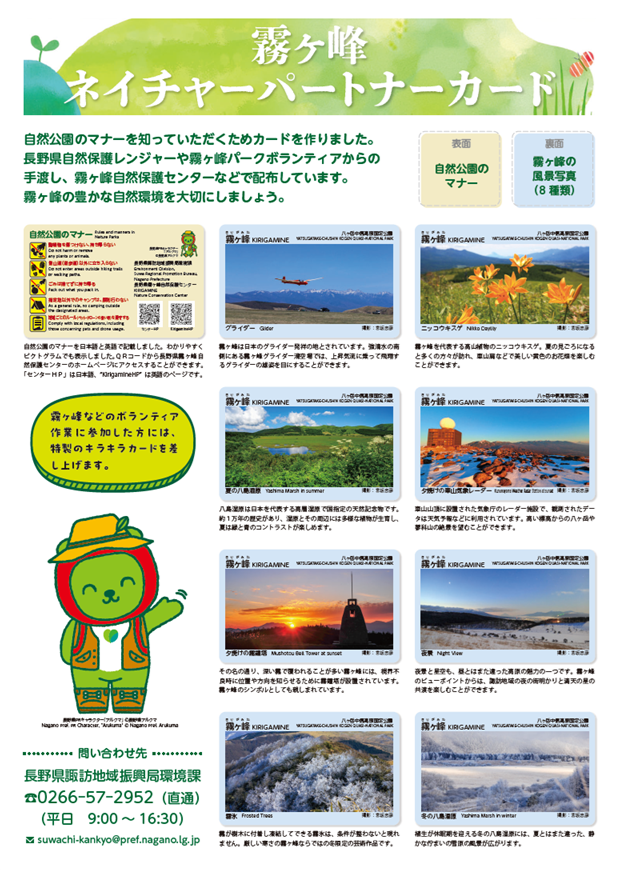 8種類のカード
