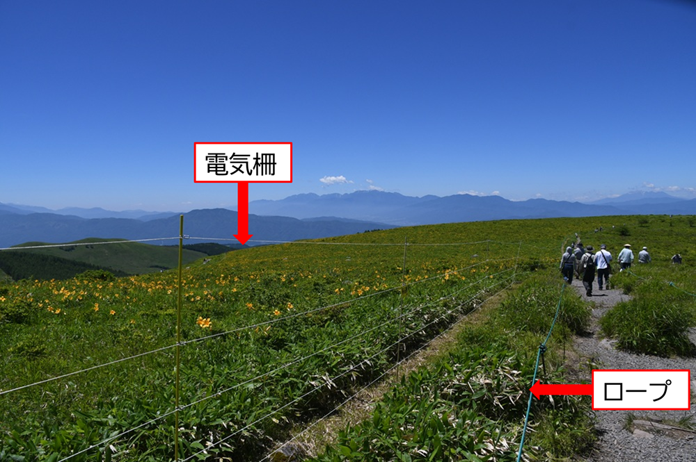 ロープの内側に電気柵が張ってある