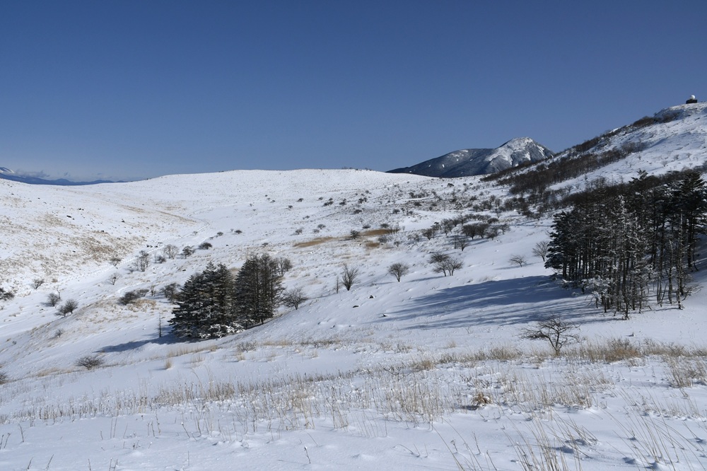 あたり一面の雪