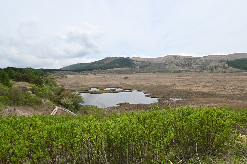 八島ヶ原湿原