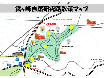 霧ヶ峰自然研究路散策マップ