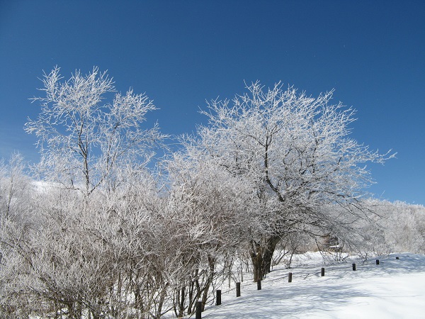 霧氷