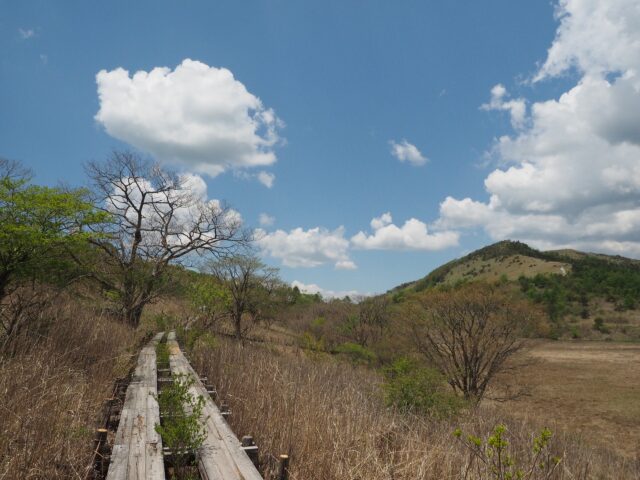 春先の八島ヶ原湿原